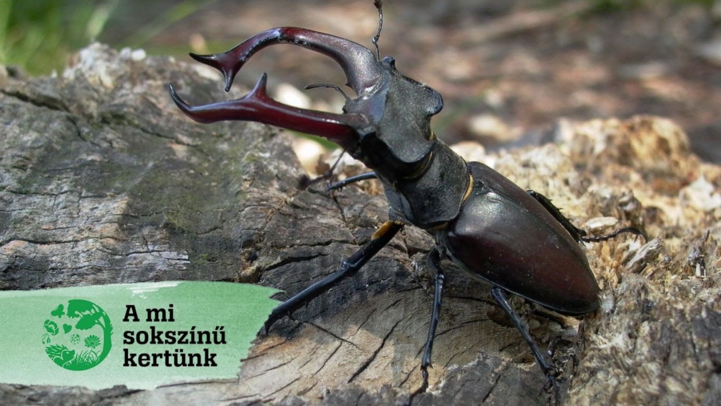 mi sokszínű kertünk kampány