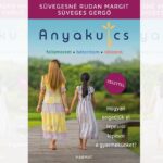 süveges gergő anyakulcs könyv