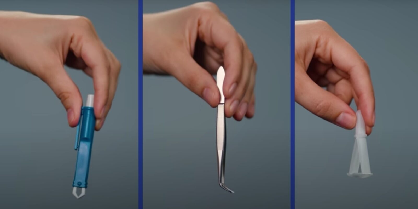 kullancs helyes eltávolítása videó