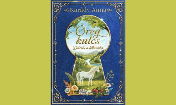 Öreg kulcs - Dárió, a lovacska könyv