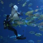 trópusi tengerek veszélyes állatai