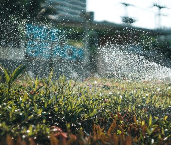 automata öntözőrendszer karbantartása