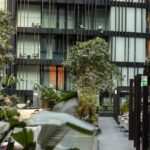 zöld terek betléri növények