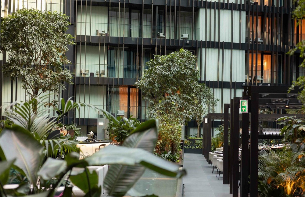 zöld terek betléri növények